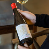 A bottle of Saronsberg Grounded Chenin Blanc 2025 held beside a poured glass of white wine
