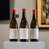 Three bottles of Saronsberg Grounded Chenin Blanc 2025 on a white plinth, artworks behind
